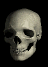 skull 2